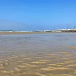 Garden & House Figueira da Foz